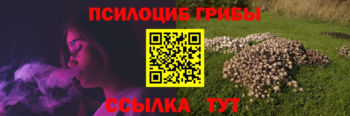 Псилоцибиновые грибы мицелий Ливны