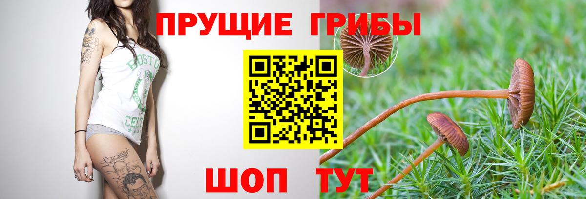 Галлюциногенные грибы MAGIC MUSHROOMS  Галлюциногенные грибы мухоморы  Ливны  Вход с VPN 
